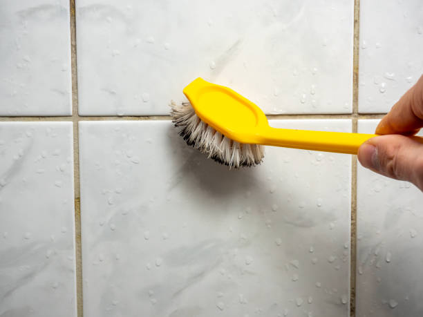 Best Basement Mold Remediation in Lockport Heights, IL