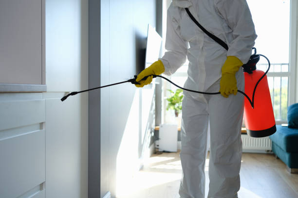 Best White Mold Remediation in Lockport Heights, IL